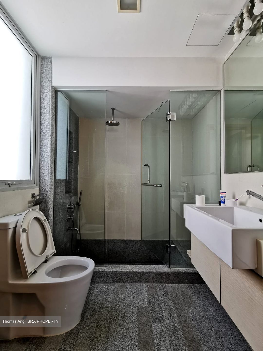 8 @ Mount Sophia (D9), Condominium #442571261